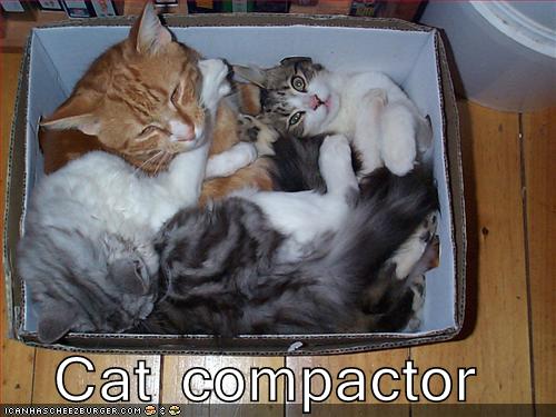 cat compactor