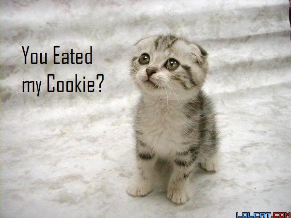 Cookie You eated