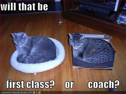 First class or coach?