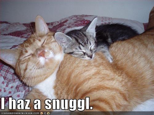 Snuggle