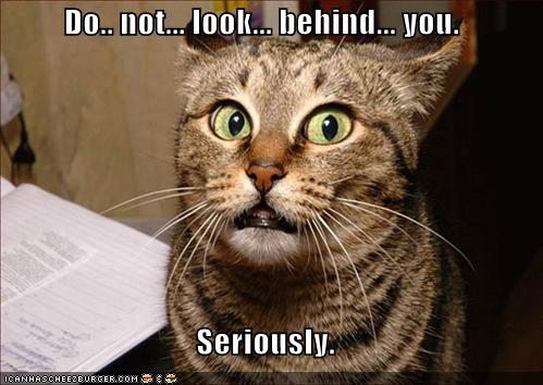 Don't Look Behind You