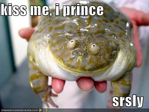 Kiss The Froggy