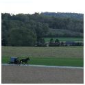 Amish buggy from afar
